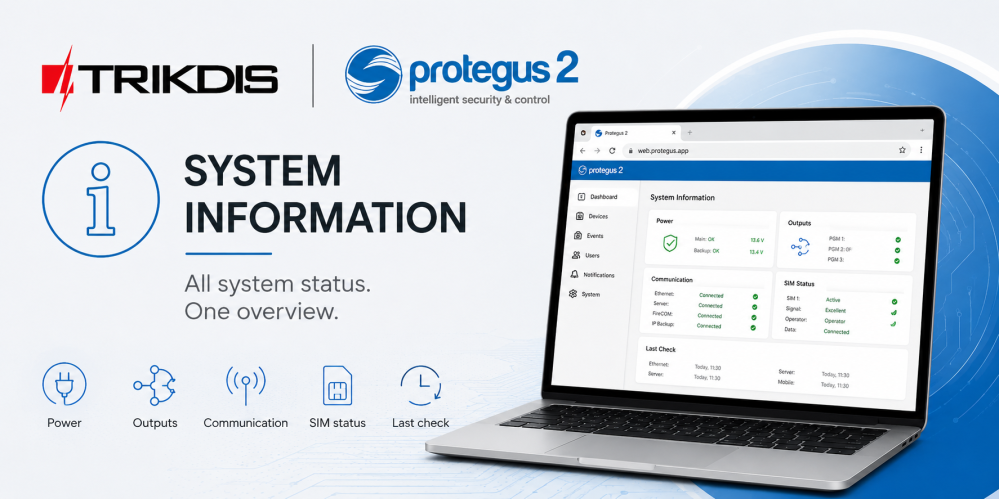 Uitgebreide systeeminformatiepagina in Protegus 2