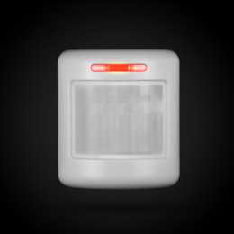 M4-PIR - LORA draadloze binnen PIR-detector